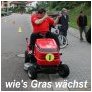 wie's Gras wächst